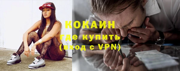 прущий лед Алзамай