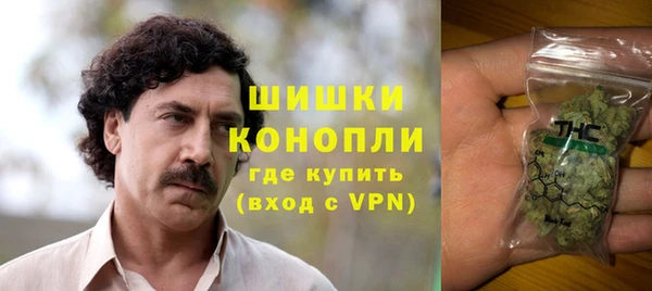 прущий лед Алзамай