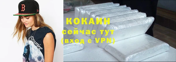 прущий лед Алзамай
